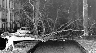 502517 Afbeelding van een tijdens een storm omgewaaide boom op de Maliebaan te Utrecht. Links het pand Maliebaan 66.